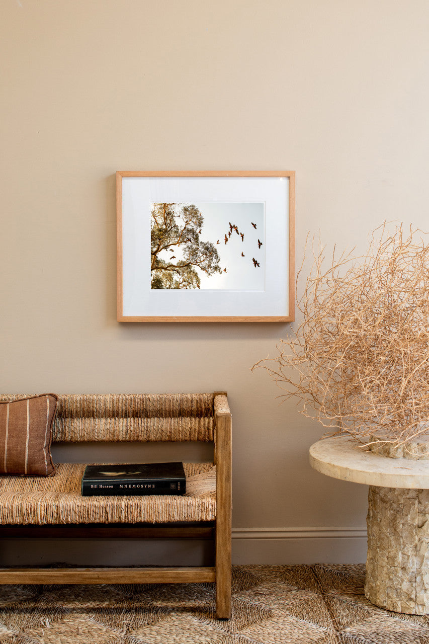 Open Country - Horizontal