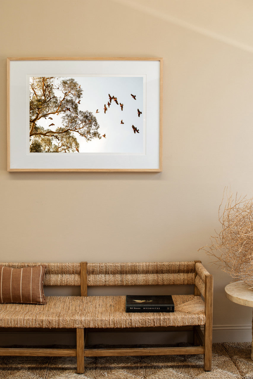 Open Country - Horizontal