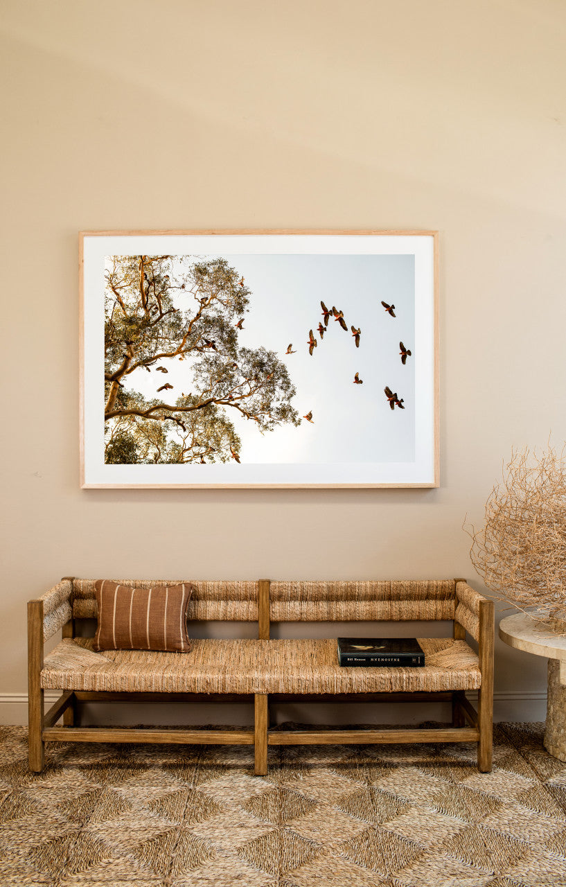 Open Country - Horizontal