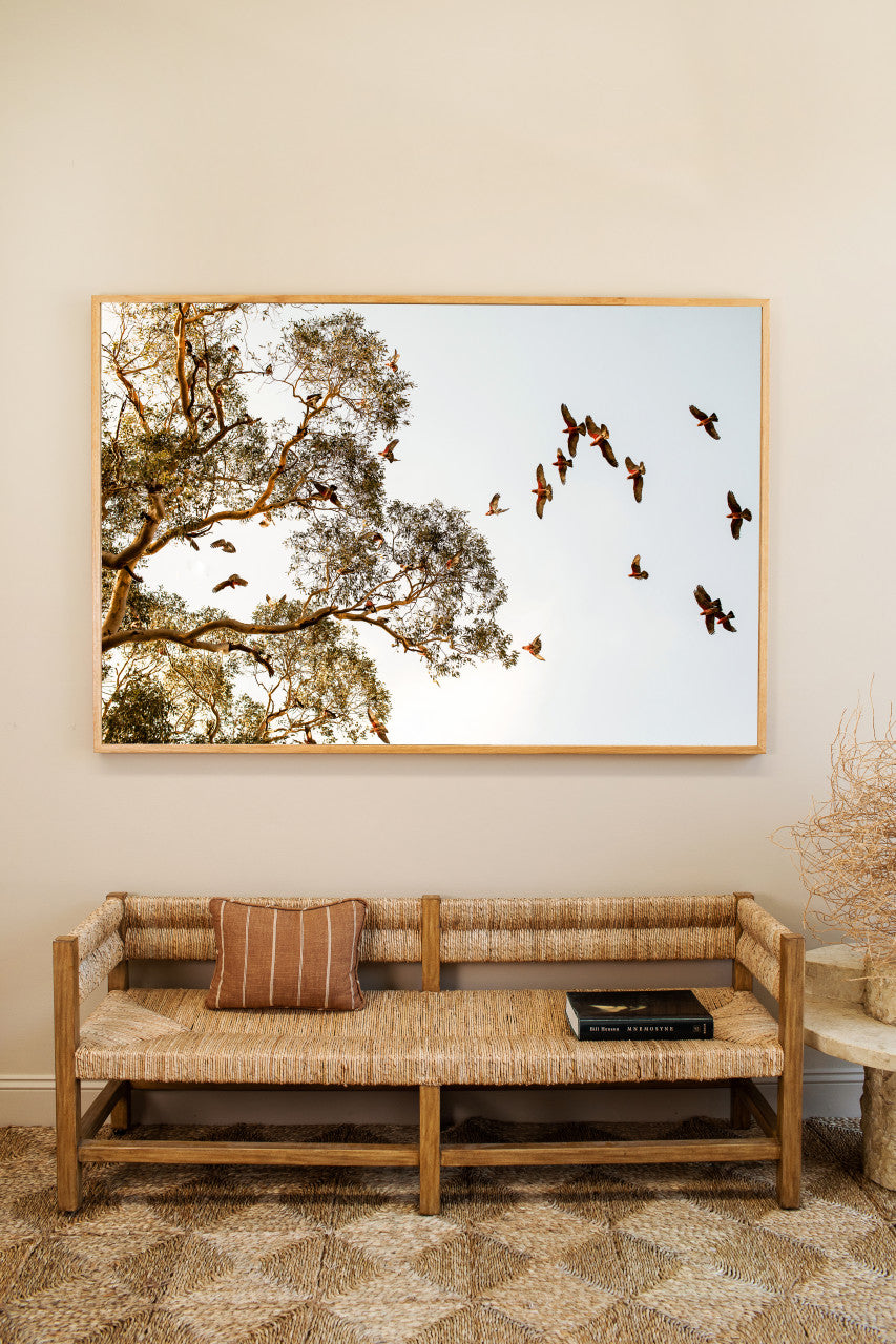 Open Country - Horizontal