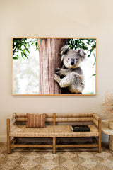 Betty Koala - Horizontal 