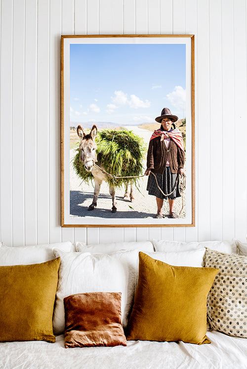Donkey and Peruvian Lady