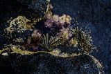 Seaweed Pearls - Horizontal Print with Gift Box