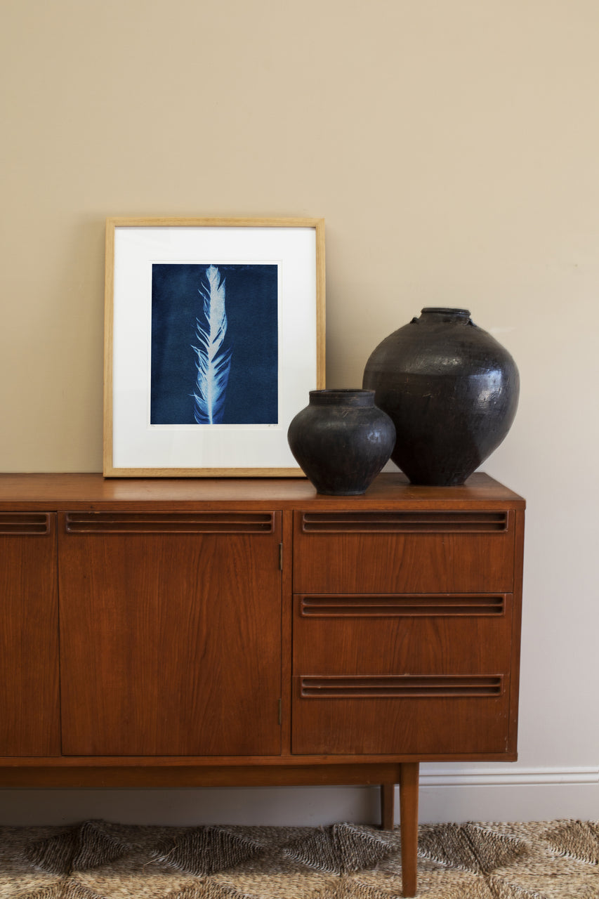 Cyanotype Feather