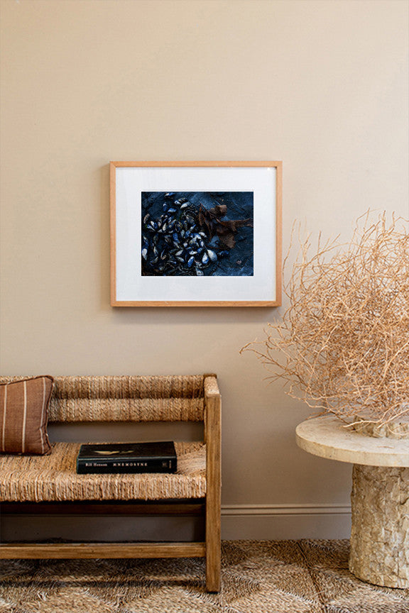 Mussels on Rockshelf - Horizontal