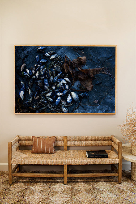 Mussels on Rockshelf - Horizontal