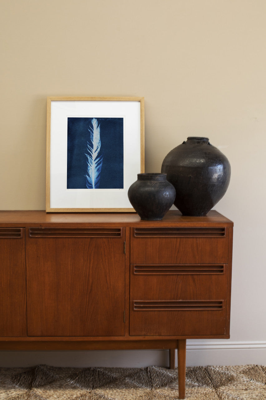 Cyanotype Feather