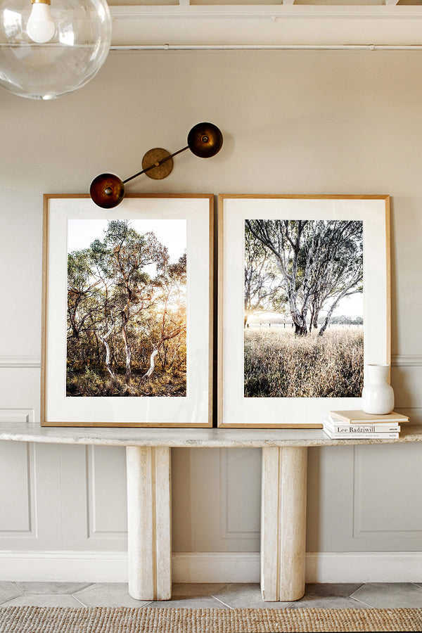 The Power Couple - Bridle Track and Ghost Gums Set