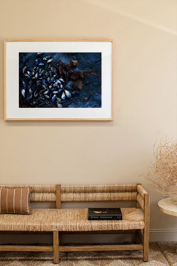 Mussels on Rockshelf - Horizontal