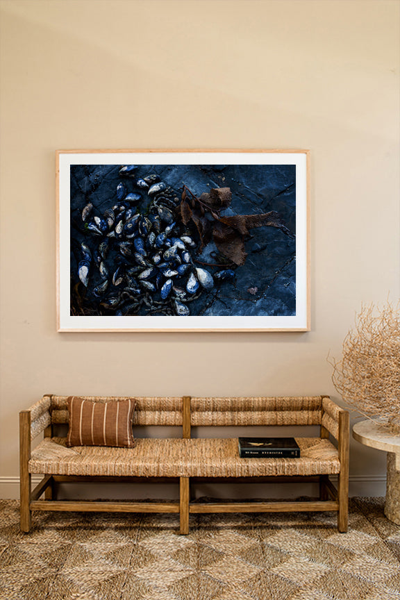 Mussels on Rockshelf - Horizontal