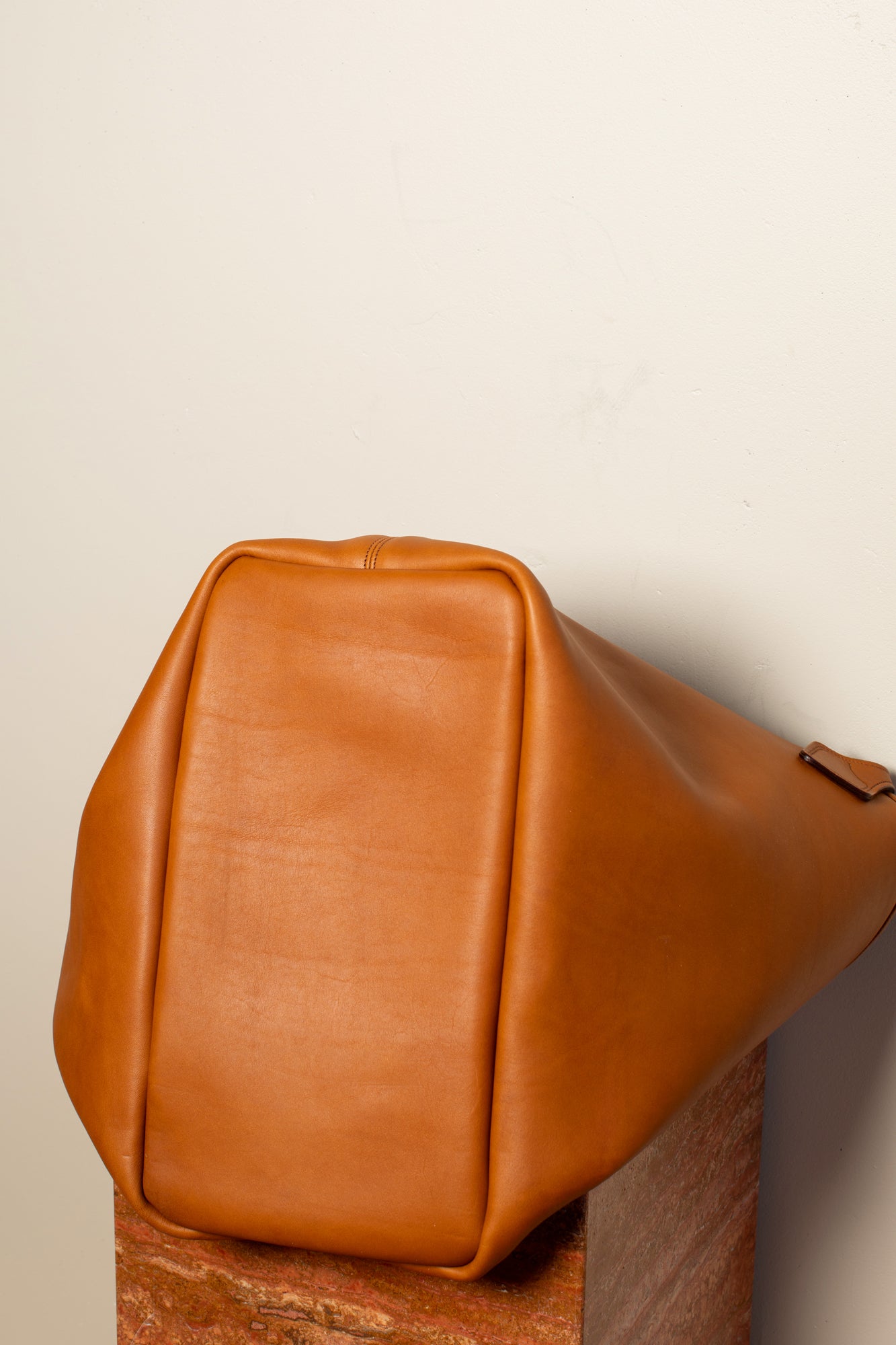 The Tan Leather Bag