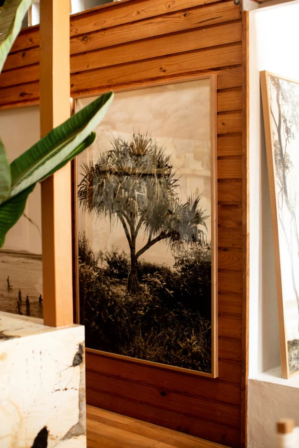 Traditional Pandanus