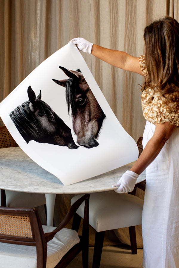 Wild Horses
