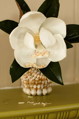 Magnificent Magnolia Print with Gift Box