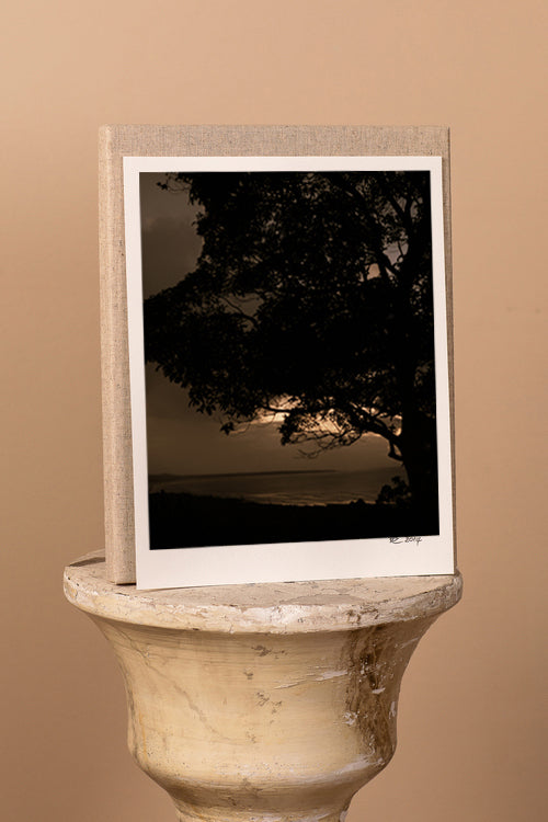 Autumn's Dusk Print with Gift Box