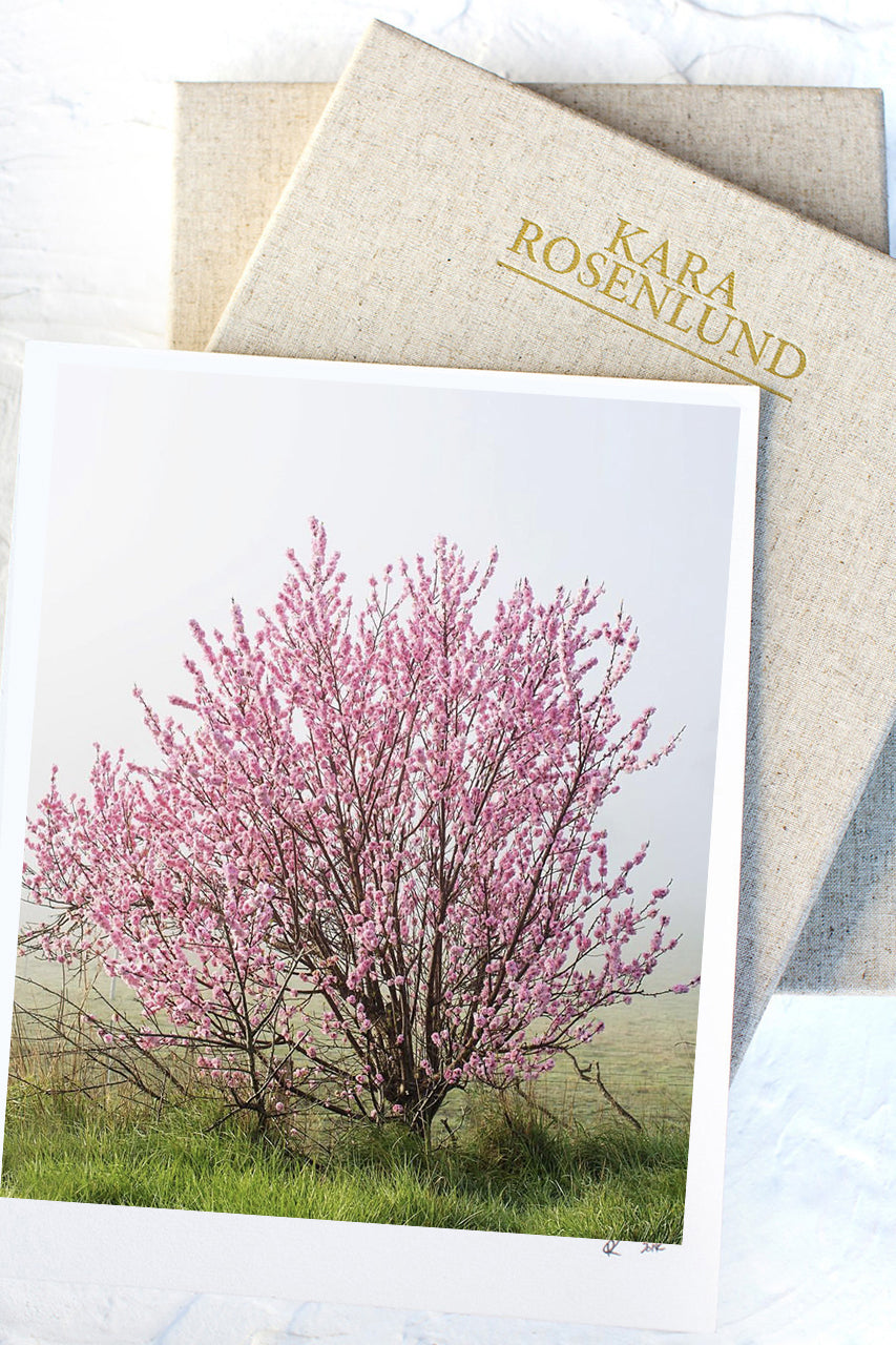 Blossoms Print with Gift Box