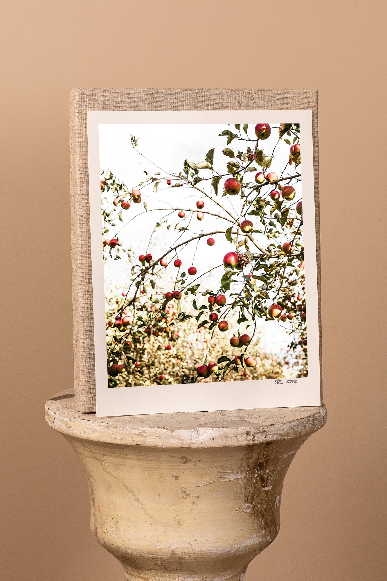 x1https://cdn10.bigcommerce.com/s-b76sgj/products/654/images/4733/COUNTRY_APPLES___08047.1553661152.1280.1280.jpg?c=2&_ga=2.201992405.590126863.1602459244-1724807382.1599096345x2