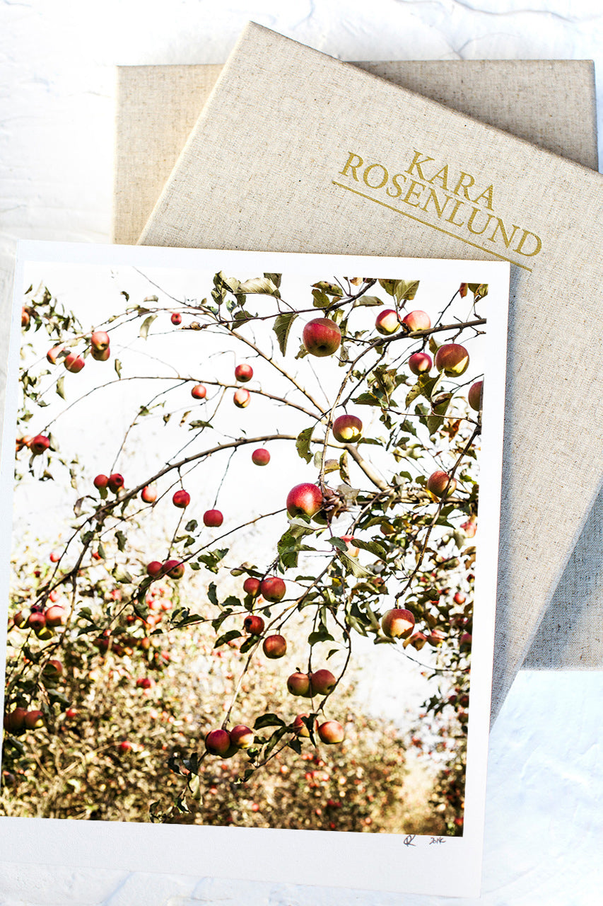 Country Apples Print with Gift Box
