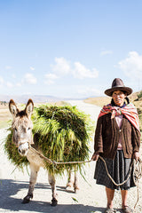 Donkey and Peruvian Lady