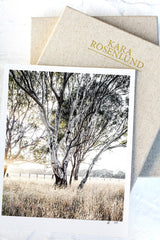 Ghost Gums Print with Gift Box