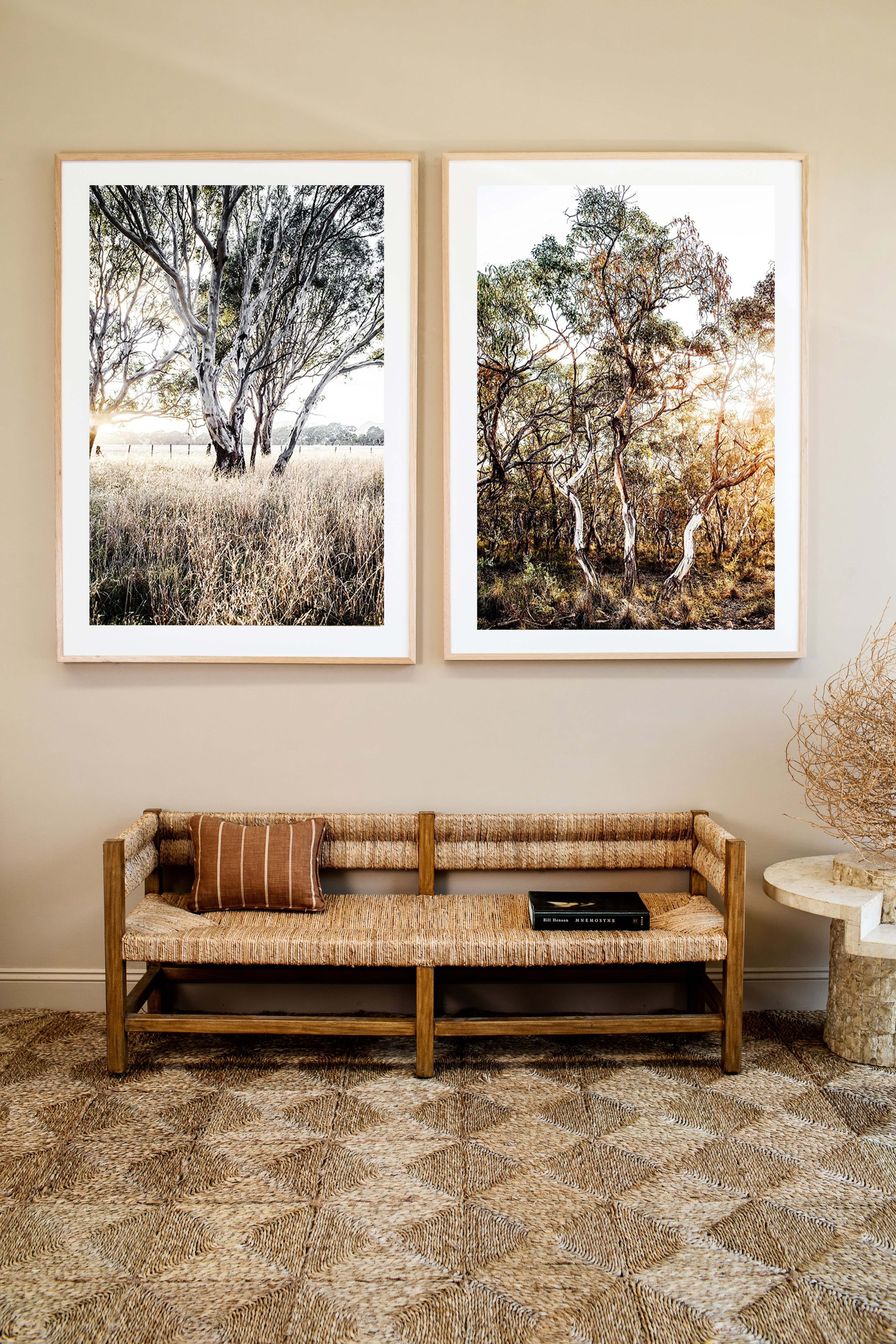 Ghost Gums