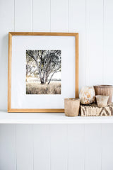 Ghost Gums Print with Gift Box