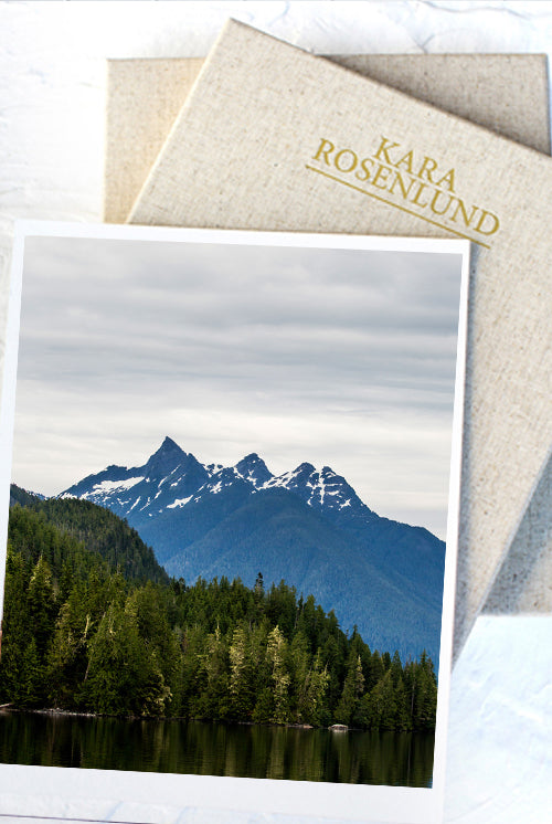 Great Bear Forest Print with Gift Box