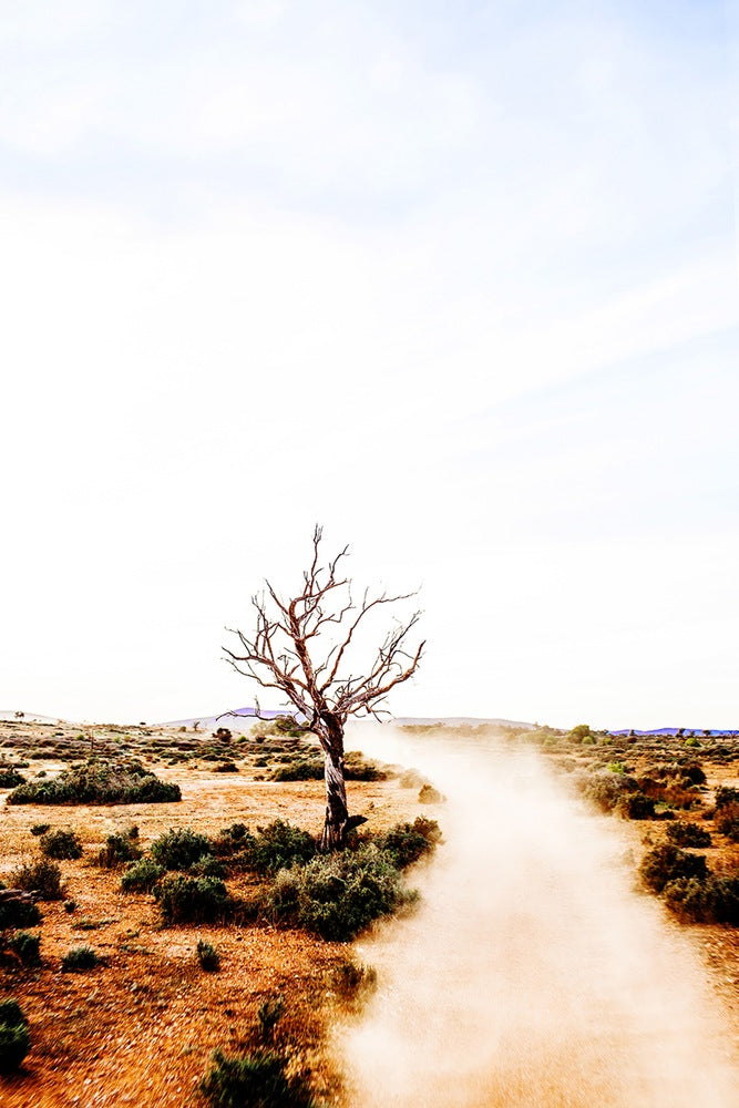 Australian Outback Print with Gift Box