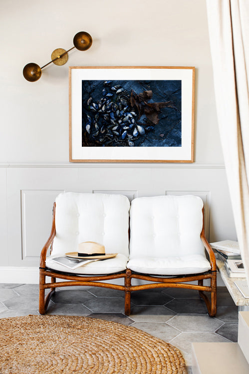 Mussels on Rockshelf - Horizontal