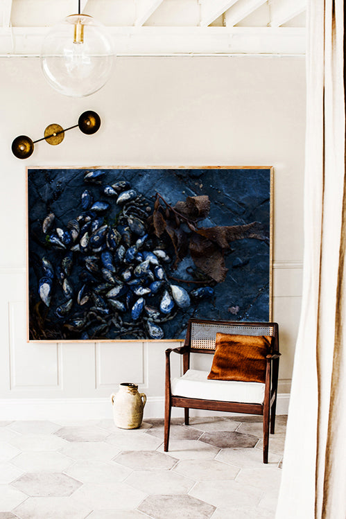 Mussels on Rockshelf - Horizontal