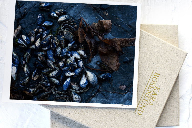 Mussels on Rockshelf - Horizontal