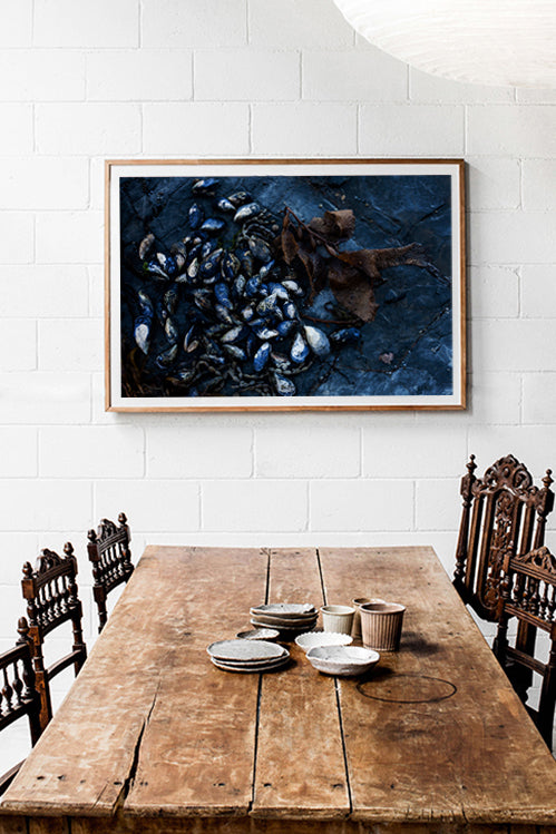Mussels on Rockshelf - Horizontal