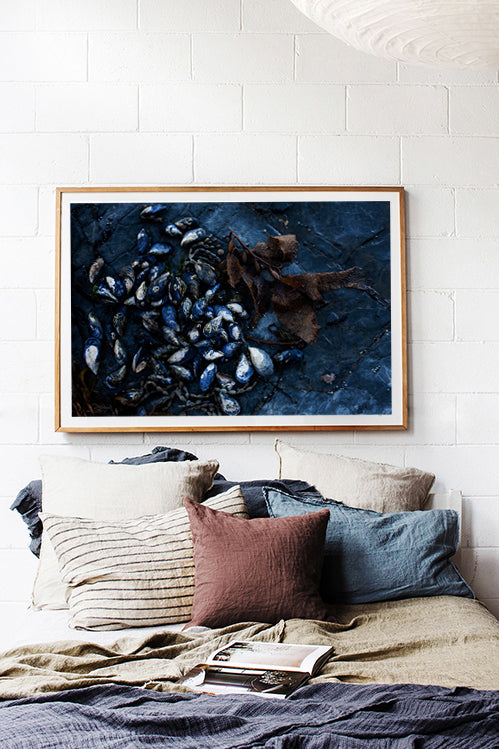 Mussels on Rockshelf - Horizontal