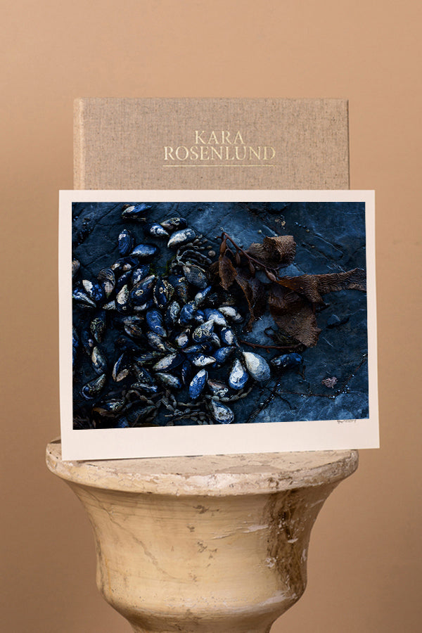 x1https://cdn10.bigcommerce.com/s-b76sgj/products/0/images/5920/Mussels_on_rockshelf_horizontal_web__28906.1568197919.1280.1280.jpgx2