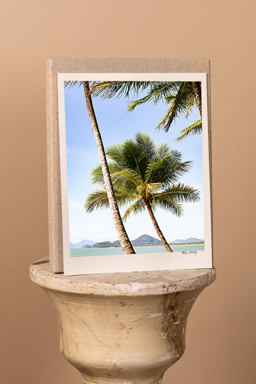 Palm Breeze Print with Gift Box