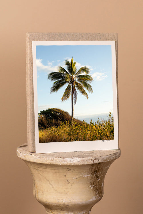 Palm Blaze Print with Gift Box
