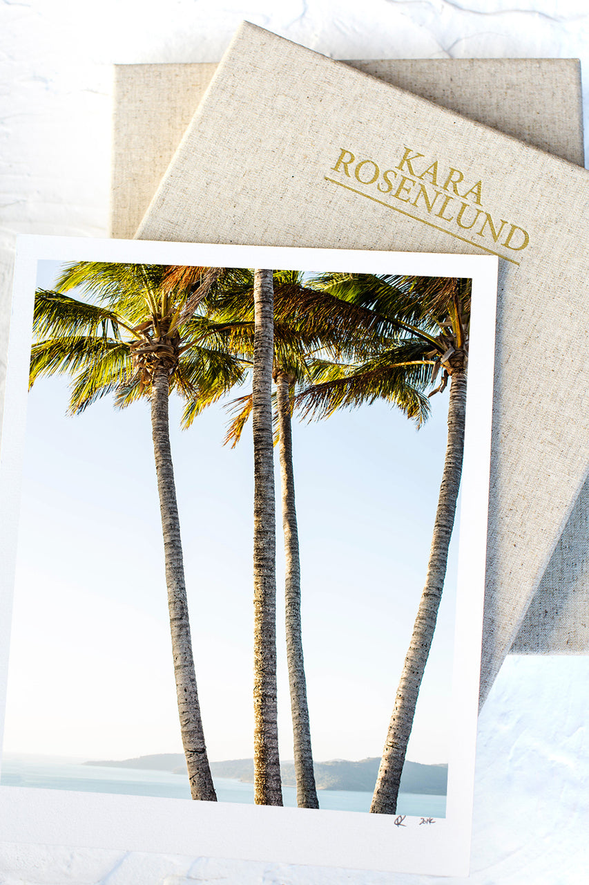 Palms Print with Gift Box
