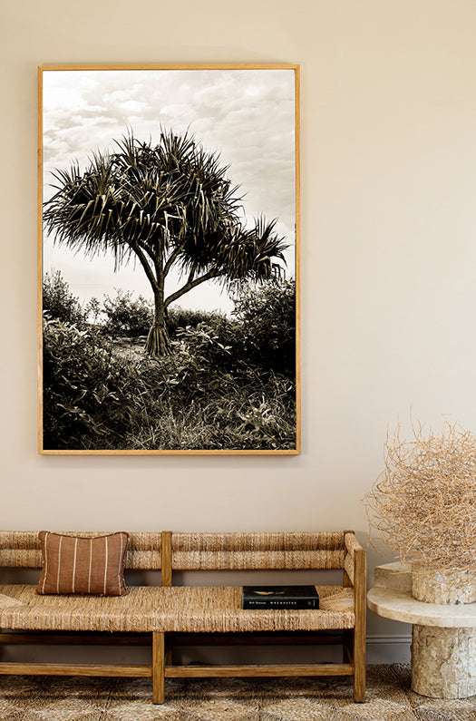 Traditional Pandanus