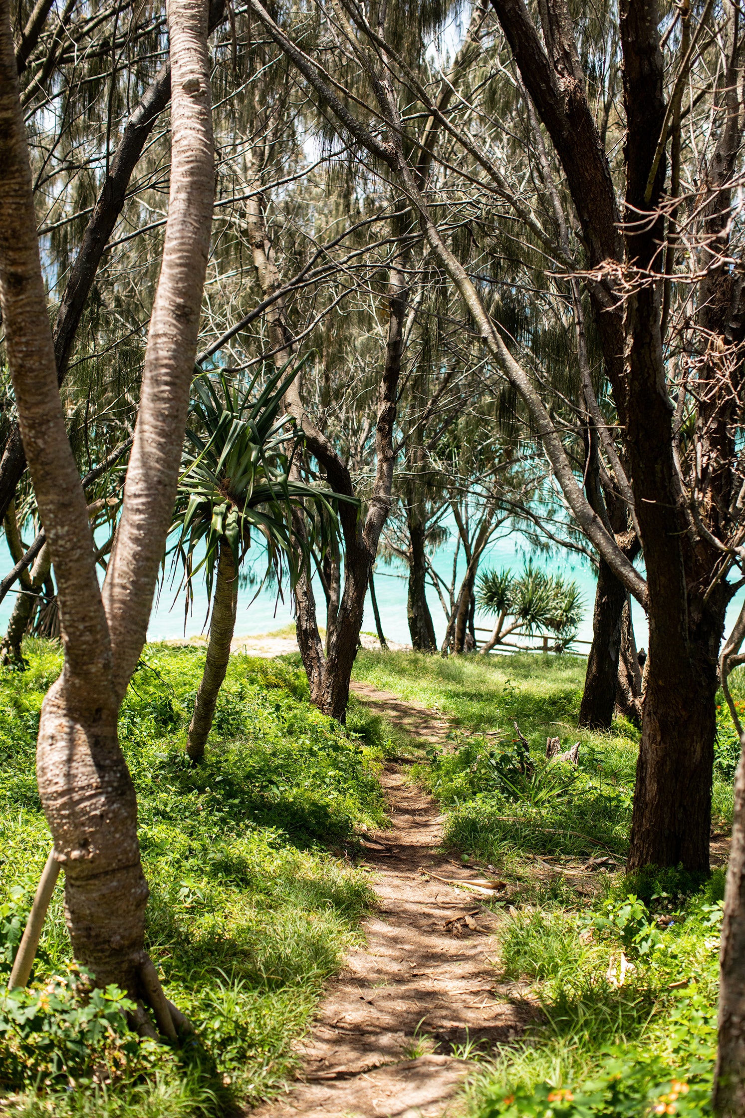 Path to Paradise with Gift Box