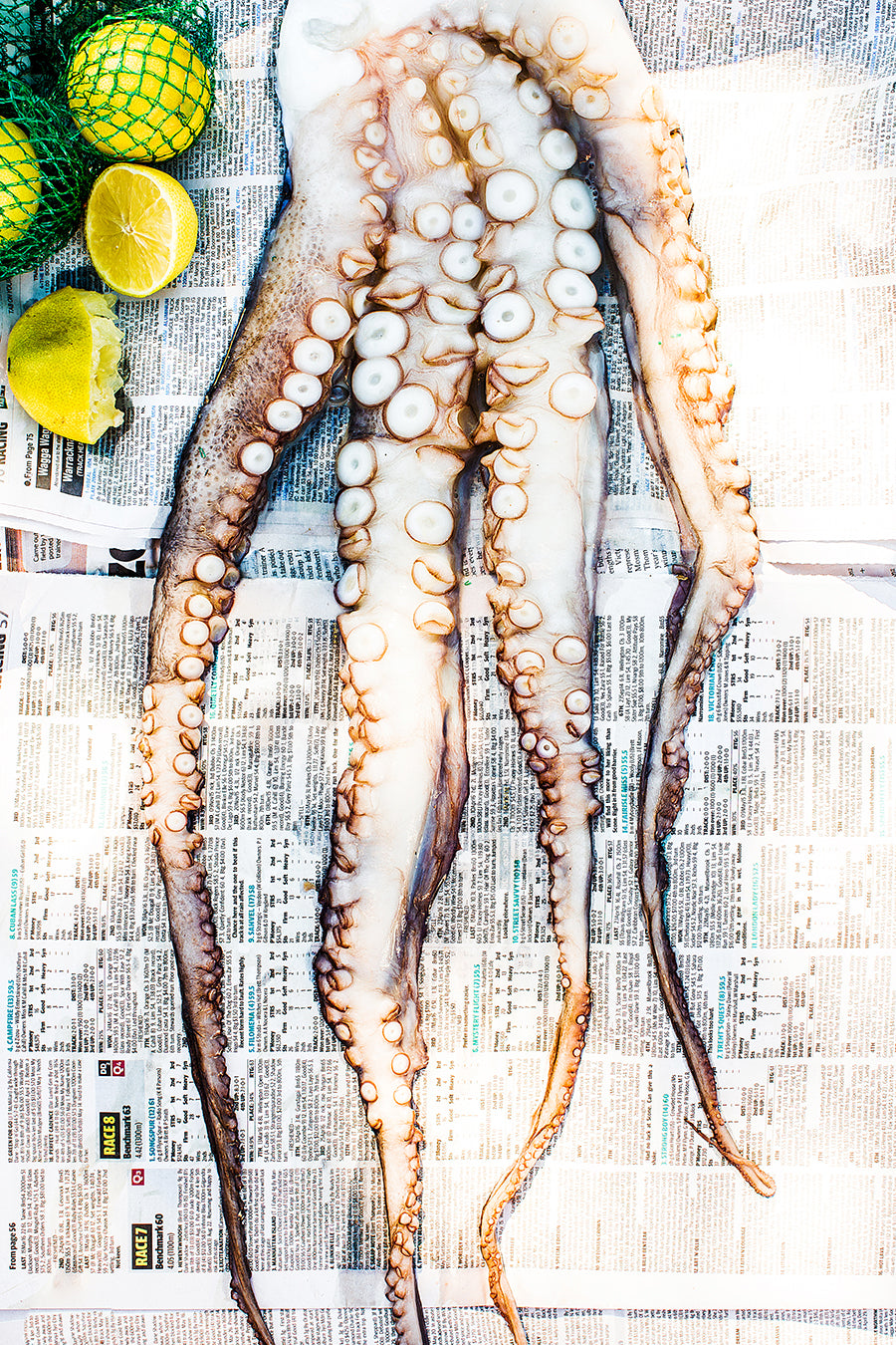 Octopus