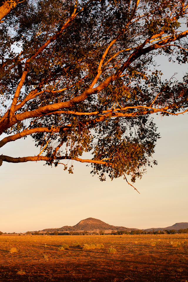 Sunburnt Country I