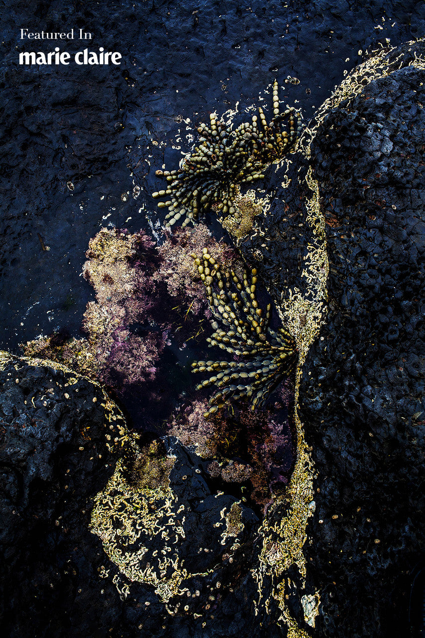 Seaweed Pearls-Vertical