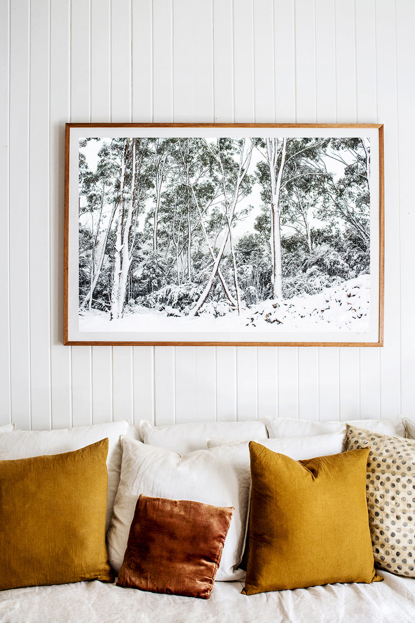 Silver Gums