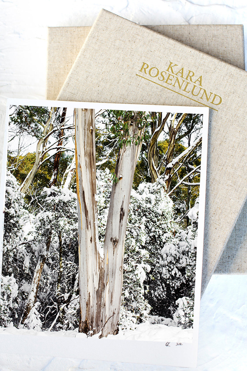 Snow Trunk Print with Gift Box