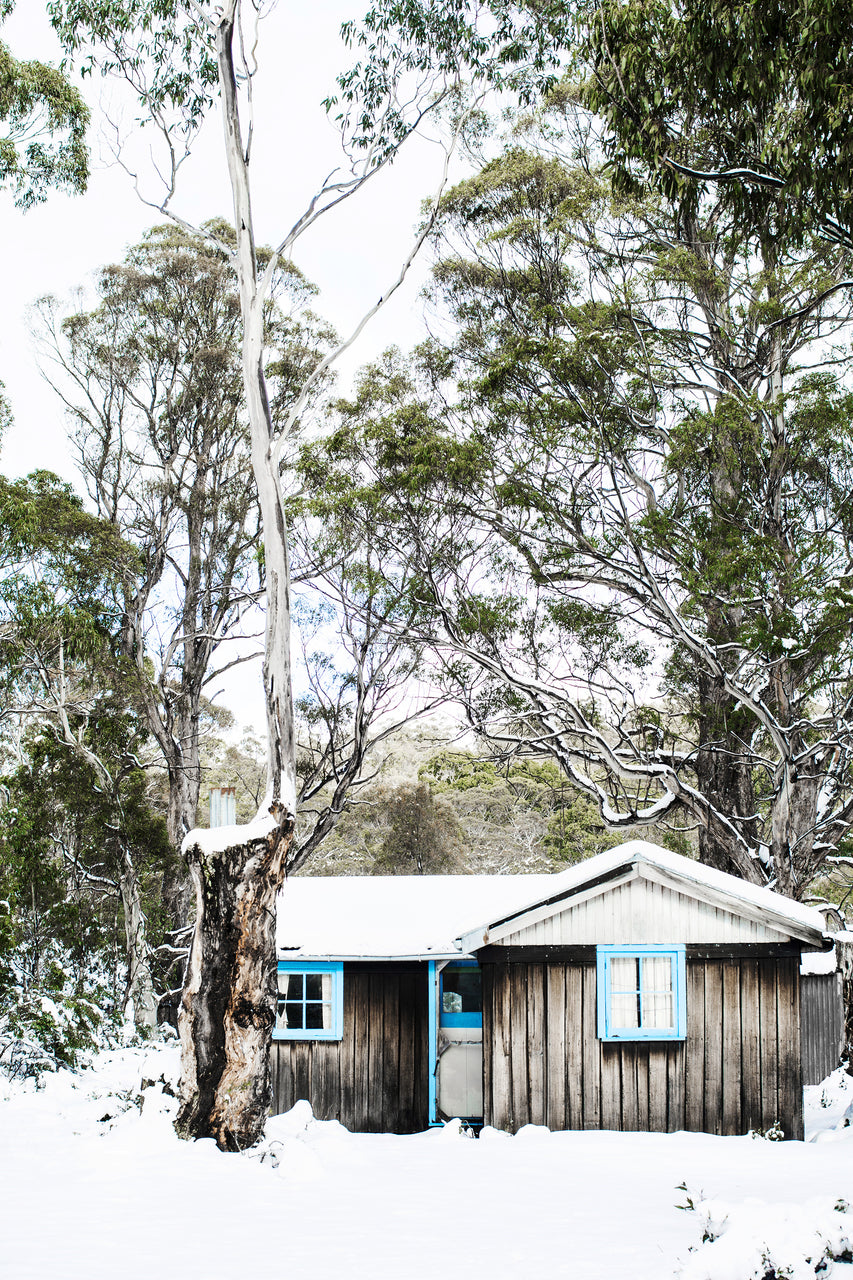 Snow Shack Print with Gift Box