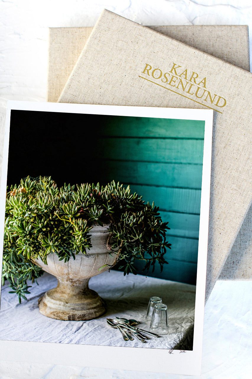 Succulent Urn