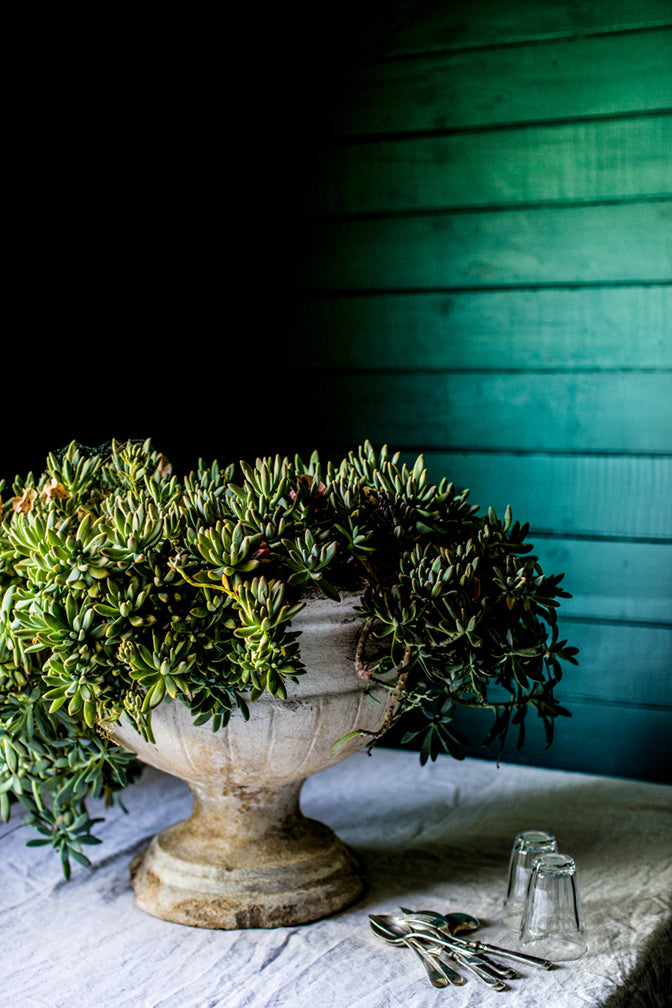 Succulent Urn