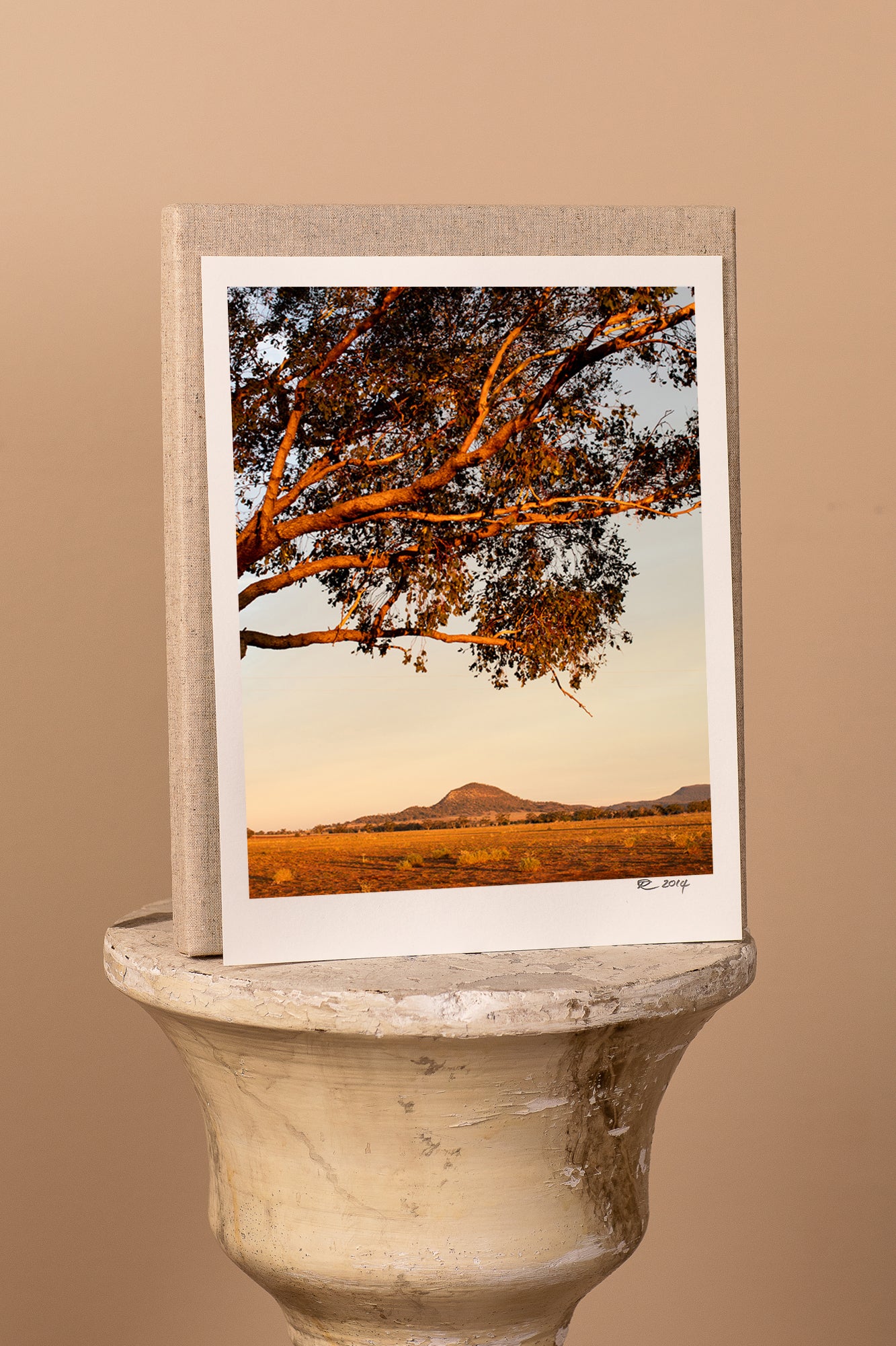 x1https://cdn10.bigcommerce.com/s-b76sgj/products/814/images/5682/Rosenlund_Gunnedah0047sm__64185.1564477194.1280.1280.jpg?c=2&_ga=2.71718227.1392797694.1602716497-1724807382.1599096345x2