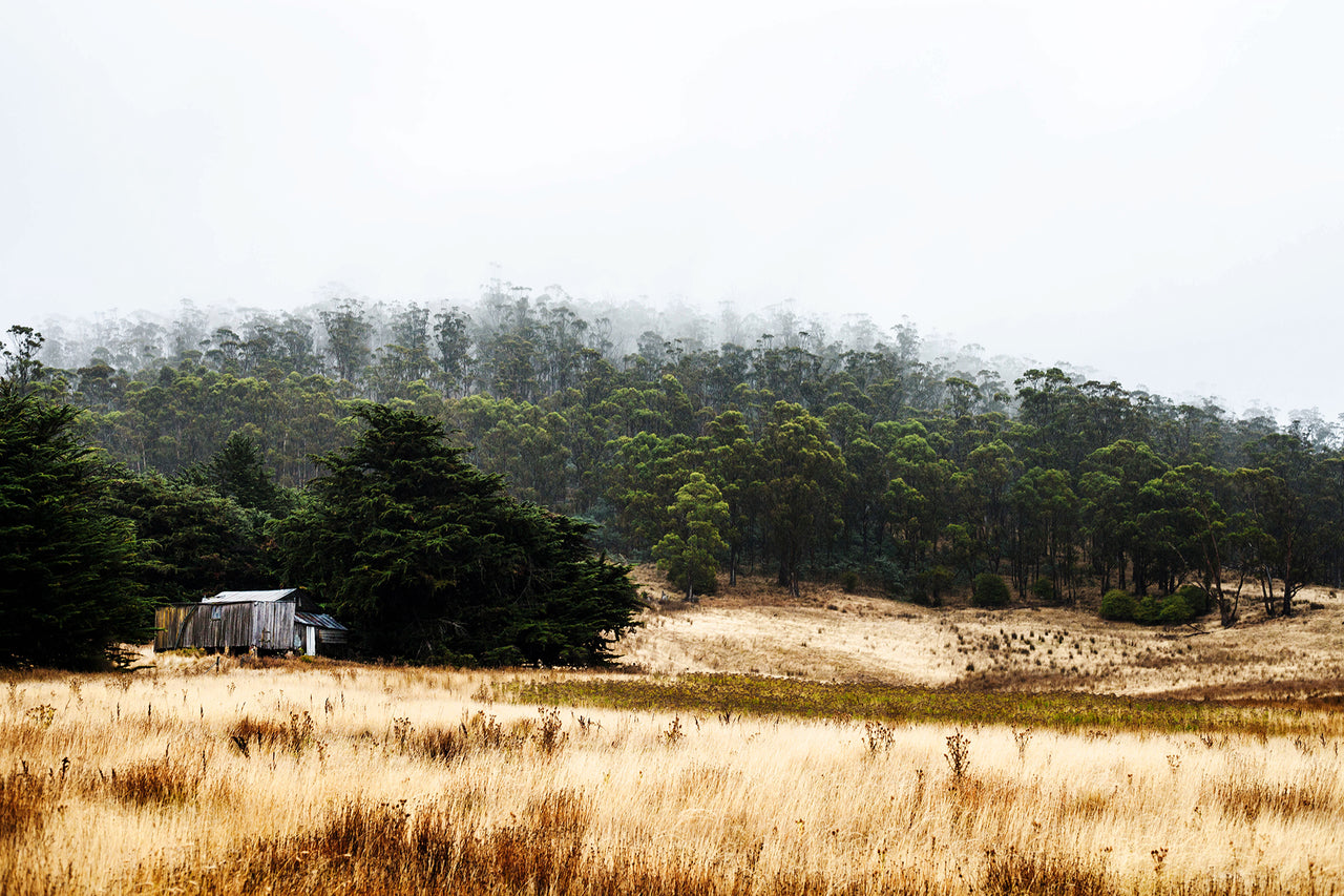 Tasmanian Shack Print with Gift Box