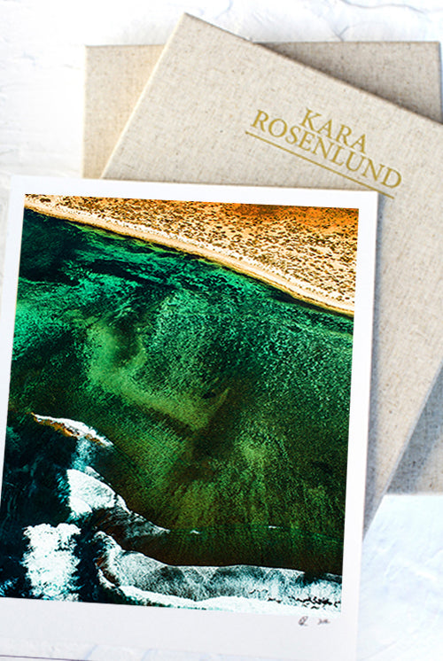 The Naturalist  Print with Gift Box